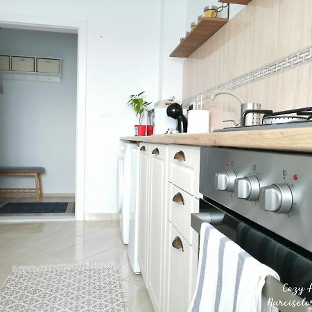 Cozy Apartment Narciselor Suceava Ipotesti  ภายนอก รูปภาพ