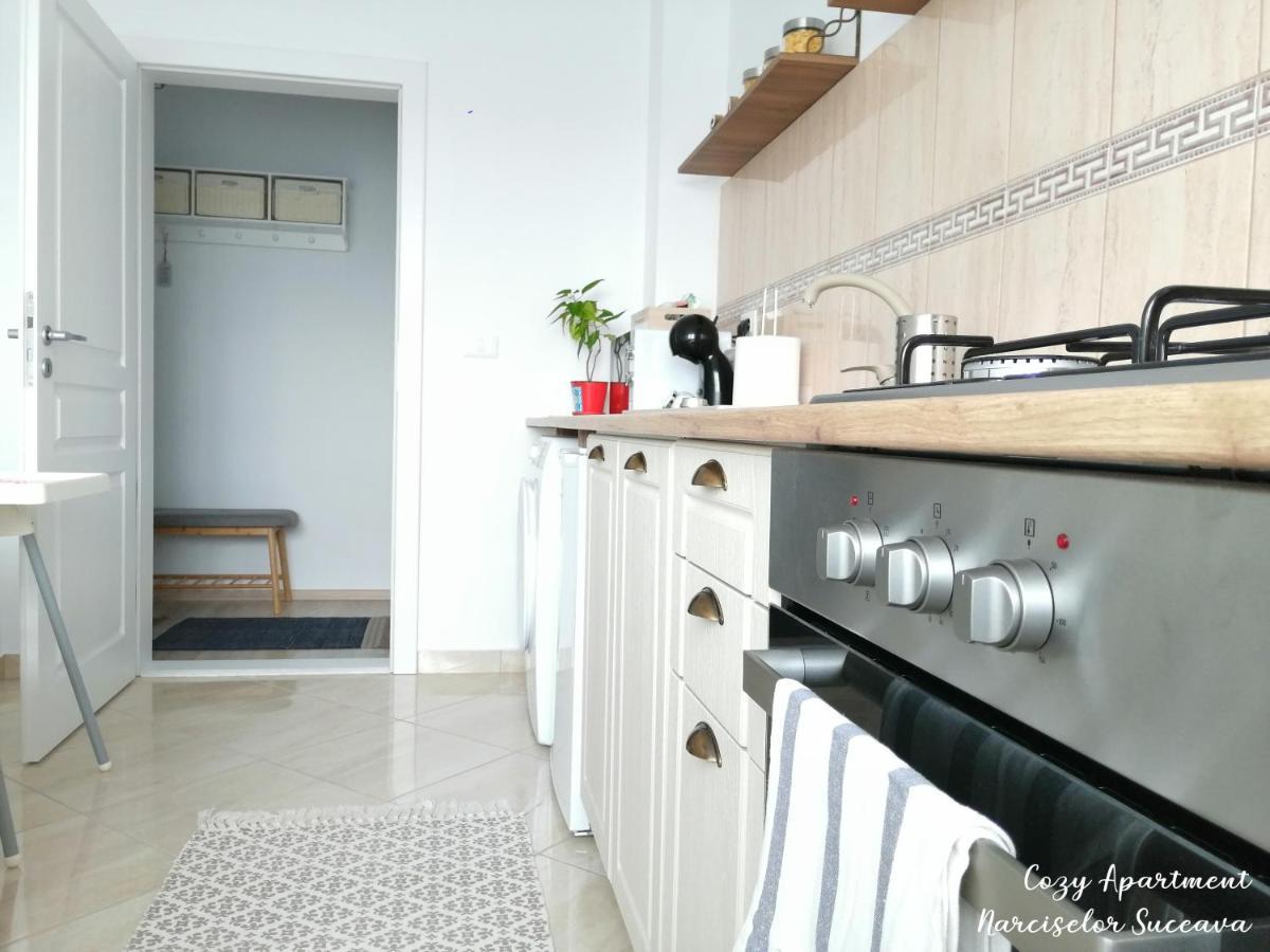 Cozy Apartment Narciselor Suceava Ipotesti  ภายนอก รูปภาพ