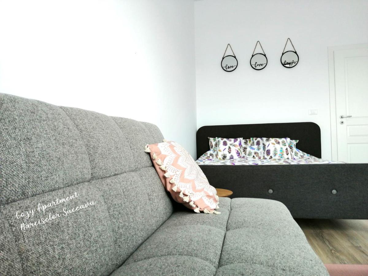 Cozy Apartment Narciselor Suceava Ipotesti  ภายนอก รูปภาพ