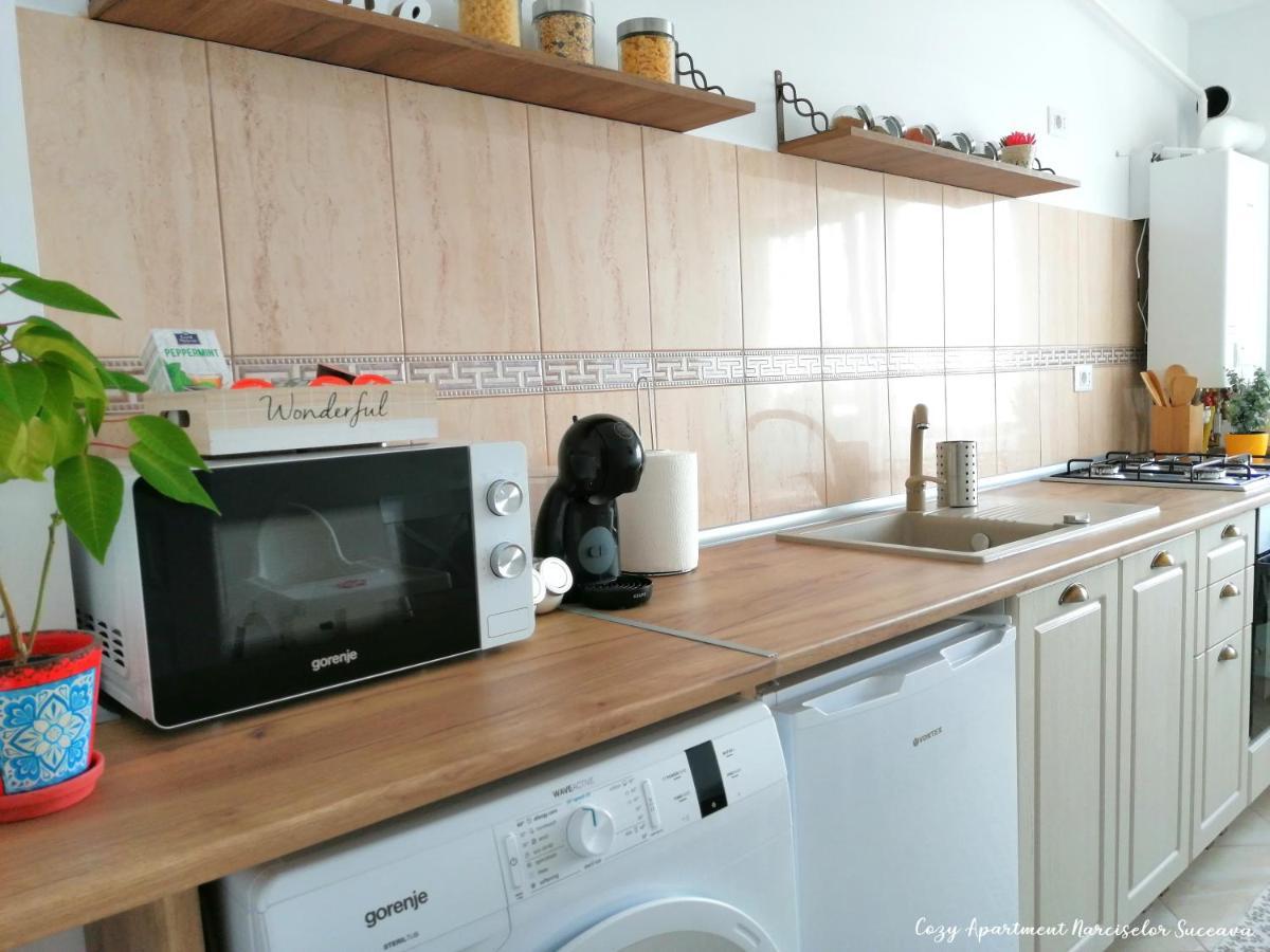 Cozy Apartment Narciselor Suceava Ipotesti  ภายนอก รูปภาพ