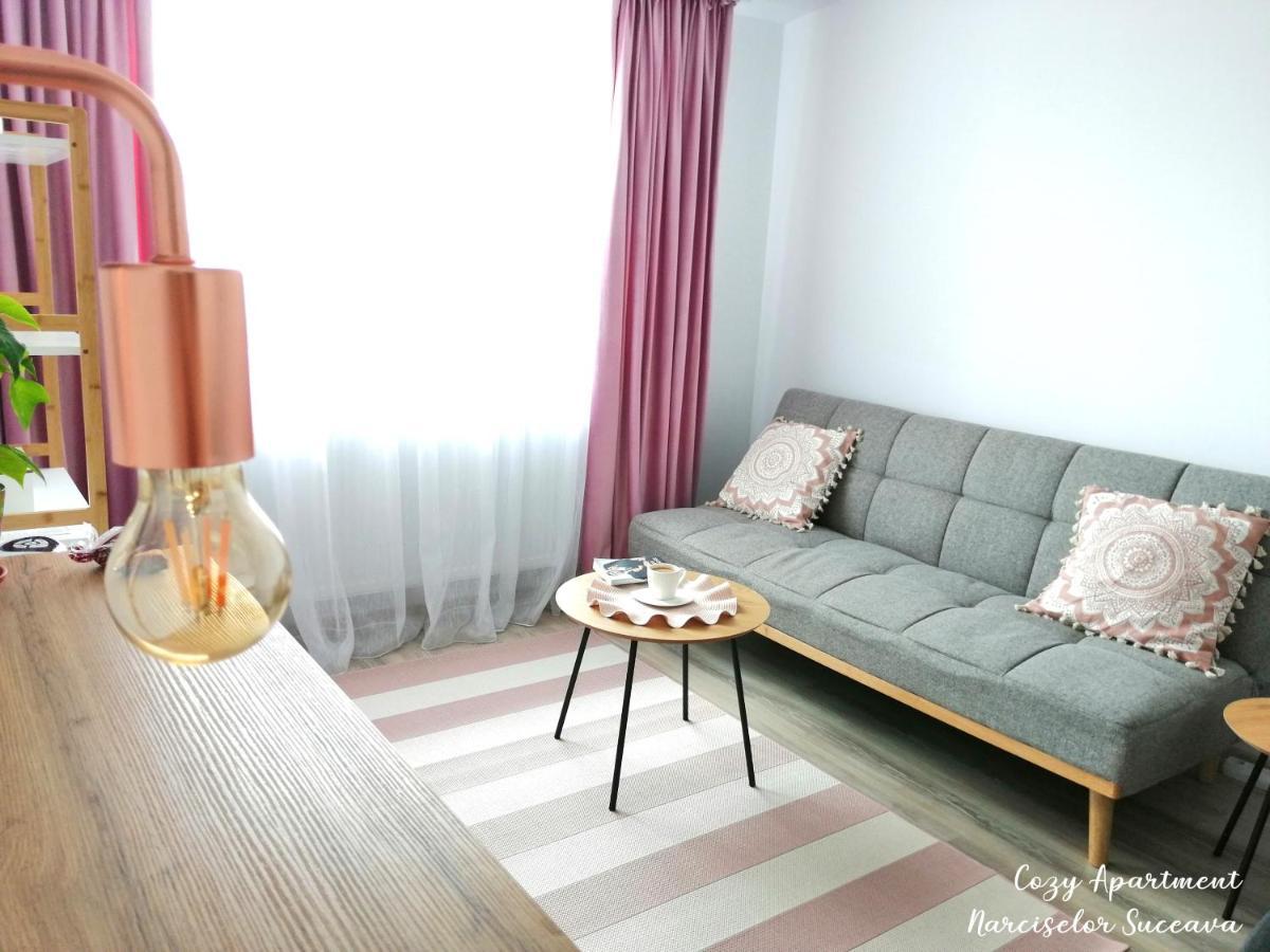 Cozy Apartment Narciselor Suceava Ipotesti  ภายนอก รูปภาพ
