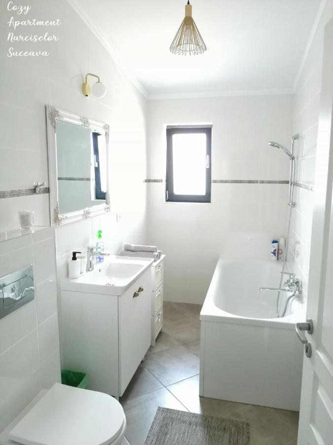 Cozy Apartment Narciselor Suceava Ipotesti  ภายนอก รูปภาพ
