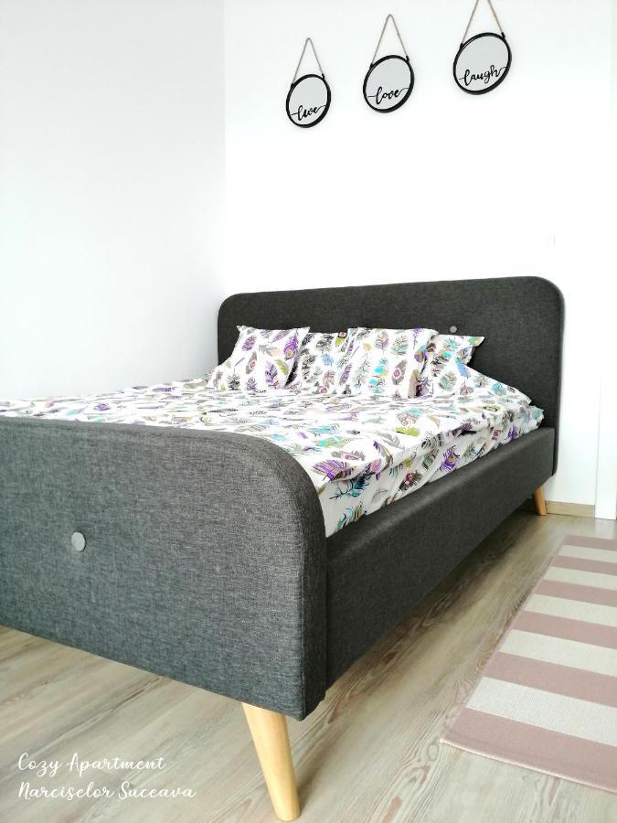 Cozy Apartment Narciselor Suceava Ipotesti  ภายนอก รูปภาพ