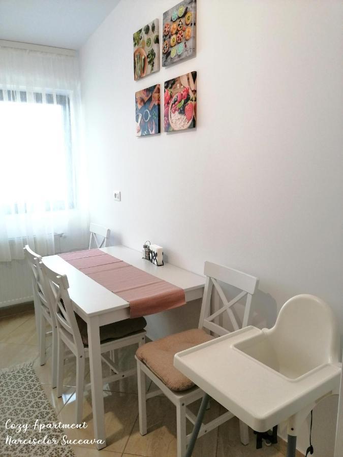 Cozy Apartment Narciselor Suceava Ipotesti  ภายนอก รูปภาพ