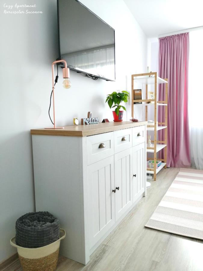 Cozy Apartment Narciselor Suceava Ipotesti  ภายนอก รูปภาพ