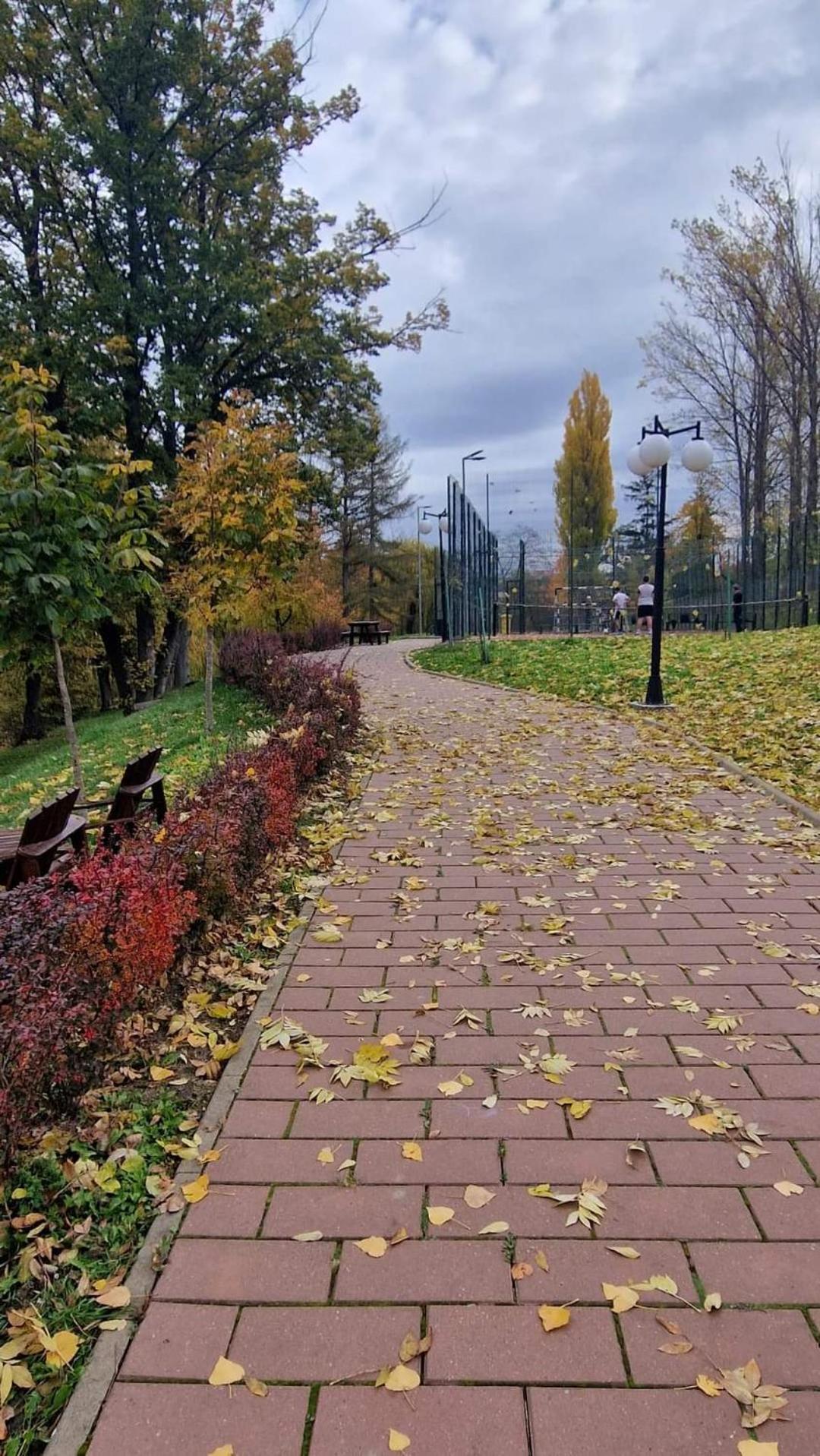 Cozy Apartment Narciselor Suceava Ipotesti  ภายนอก รูปภาพ
