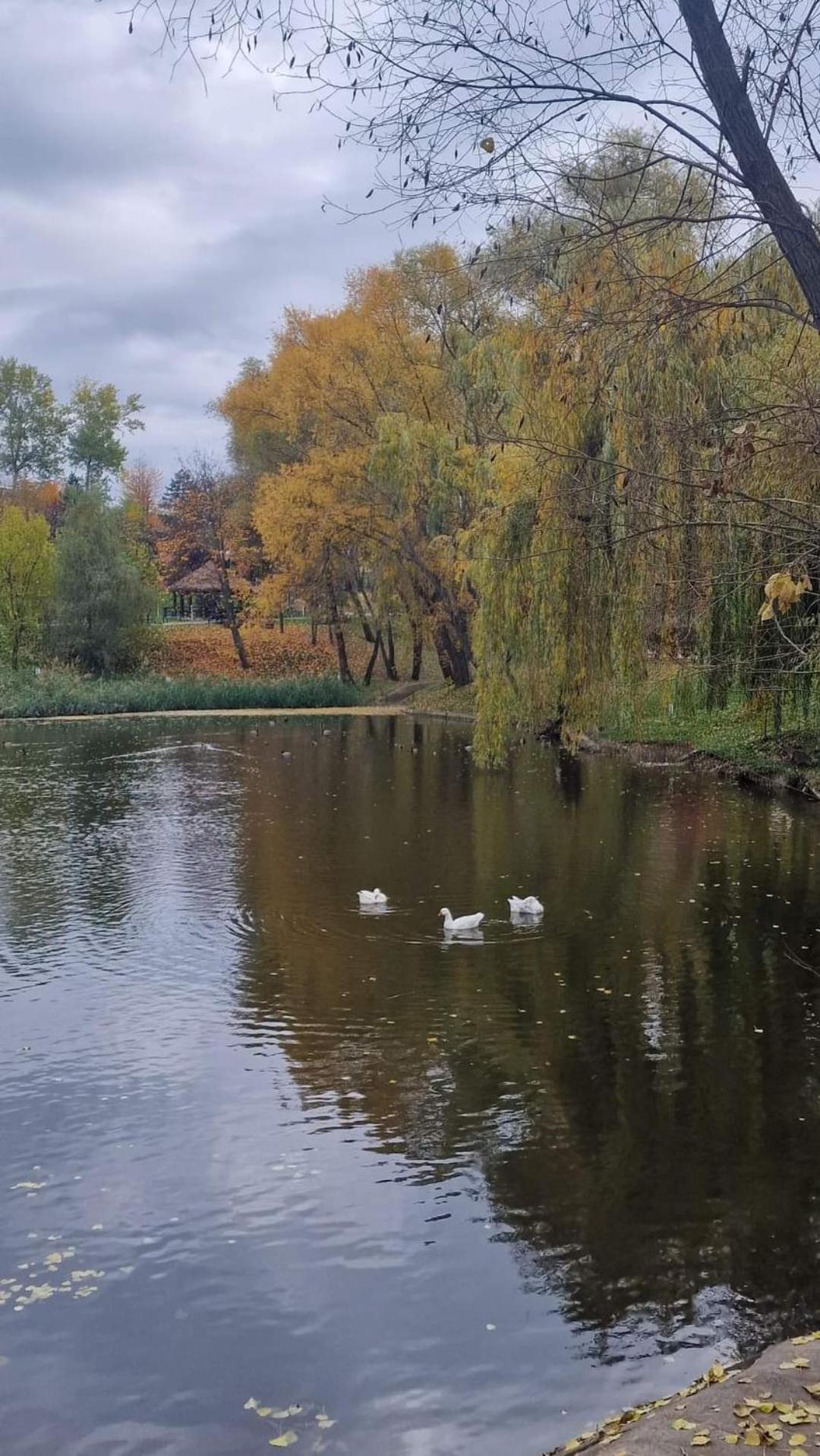Cozy Apartment Narciselor Suceava Ipotesti  ภายนอก รูปภาพ